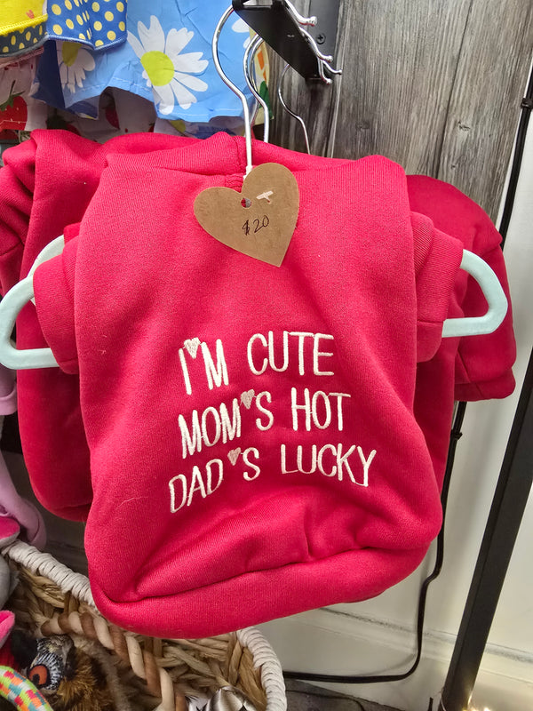 dog sweater