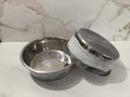 Handcrafted Silver Marble Epoxy Dog Bowl Set