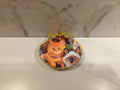 Decorated Kitten Seashell with Gold Trim