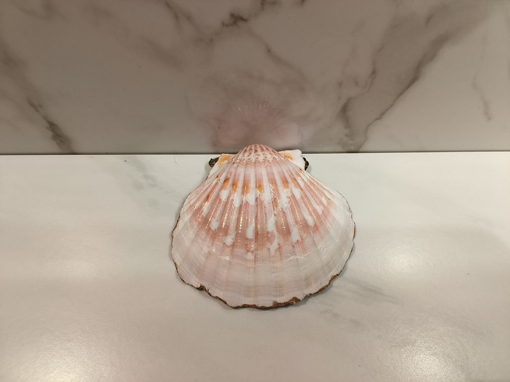 Pink Rose Oyster Shell Dish with Gold Trim & Filigree Charm