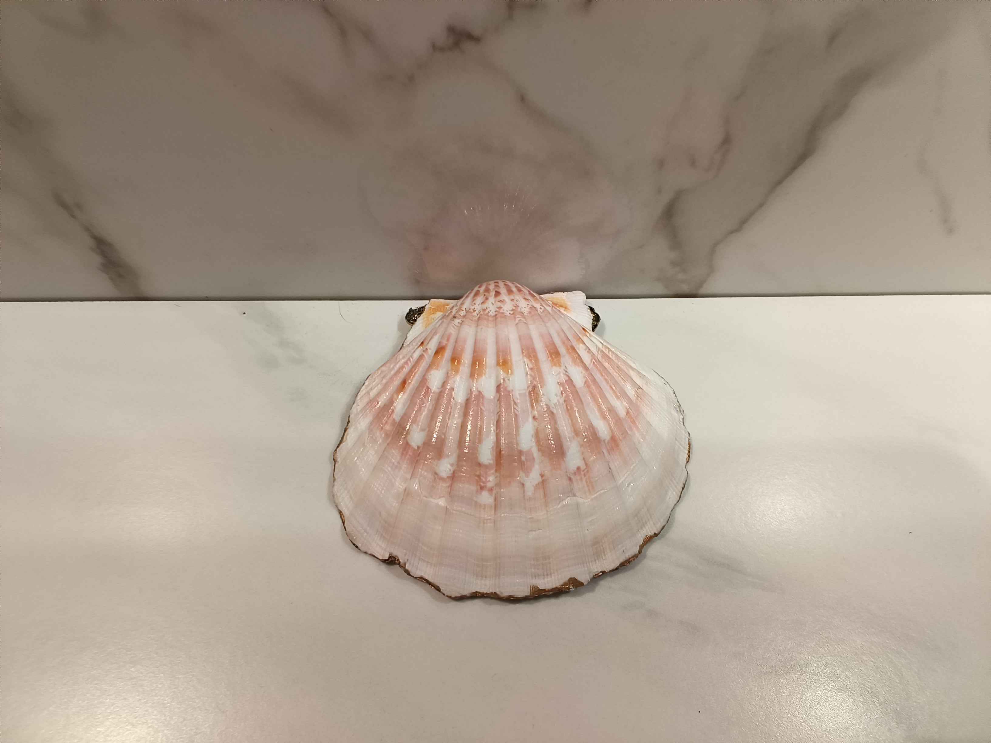 Pink Rose Oyster Shell Dish with Gold Trim & Filigree Charm