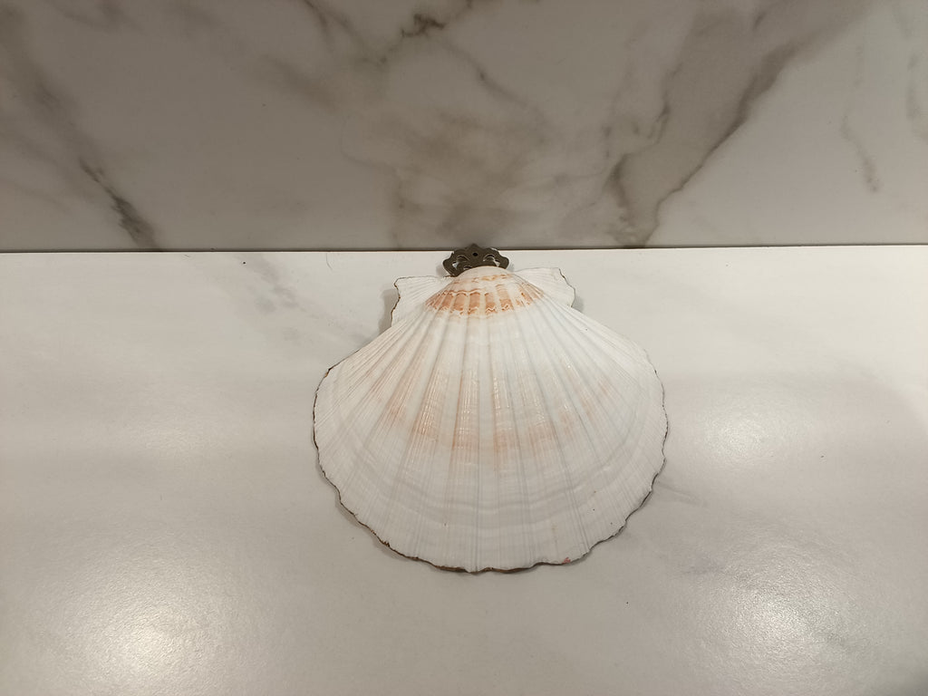 Gold Lace Oyster Shell Trinket Dish with Pearl & Sapphire Accent