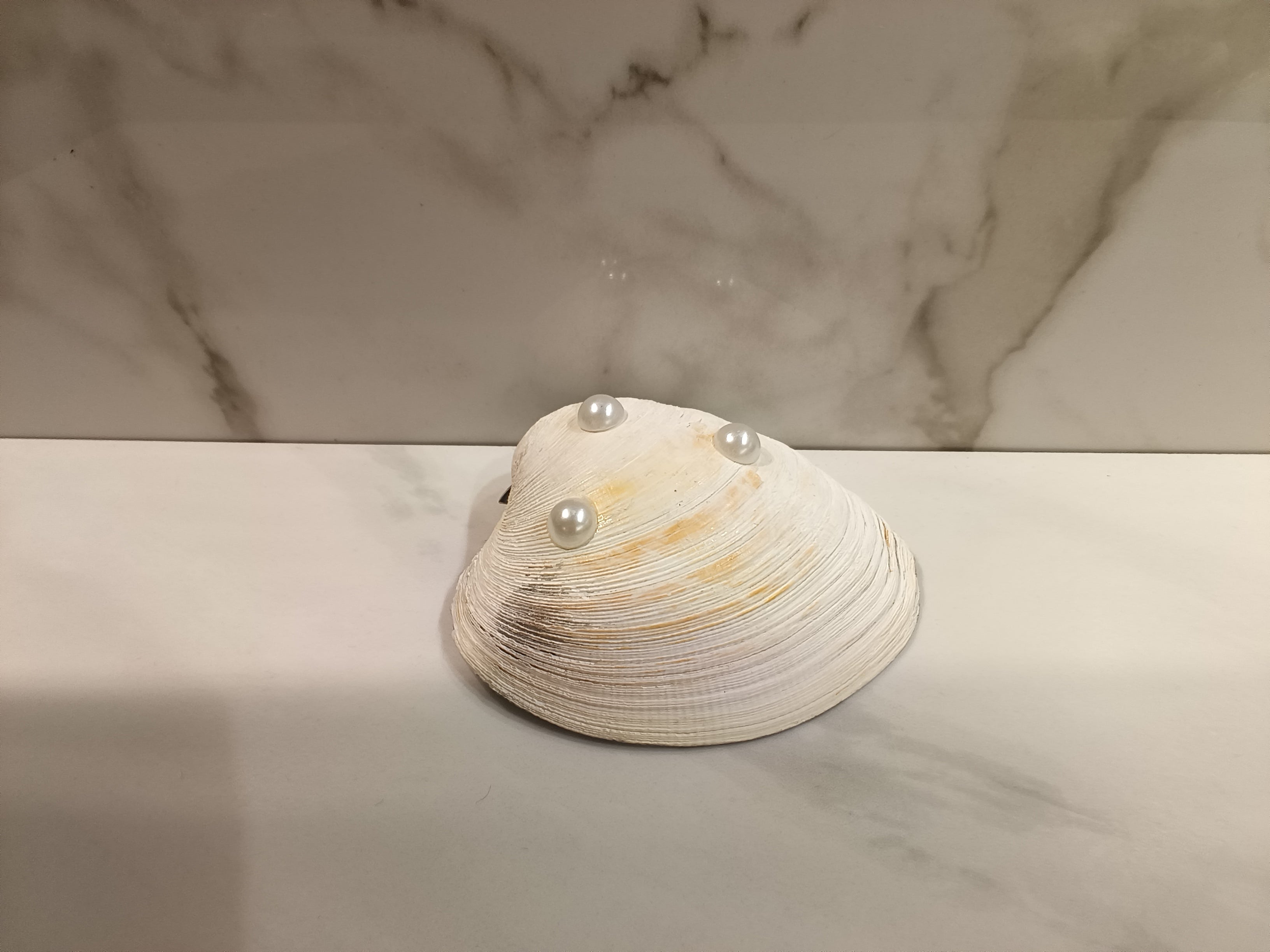 Bluebird Botanical Oyster Shell Dish