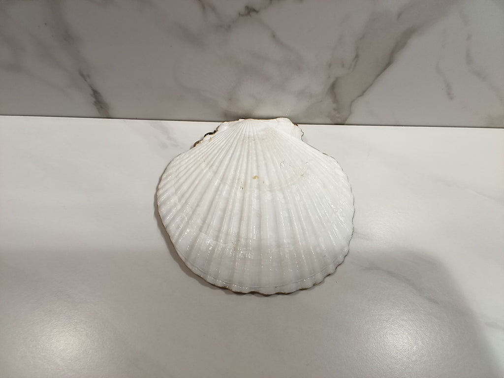 Faith Cross Painted Oyster Shell Art Dish