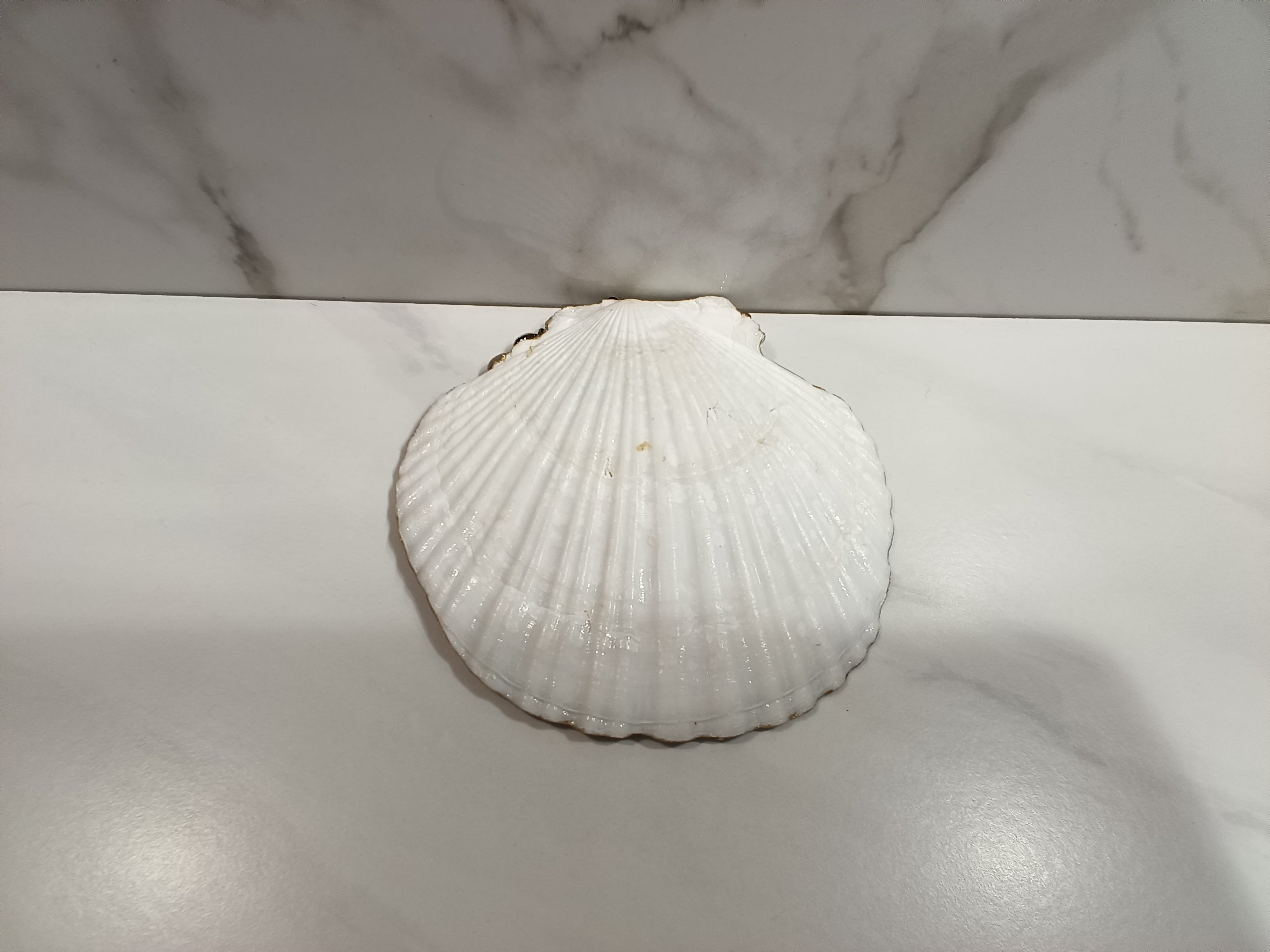 Faith Cross Painted Oyster Shell Art Dish