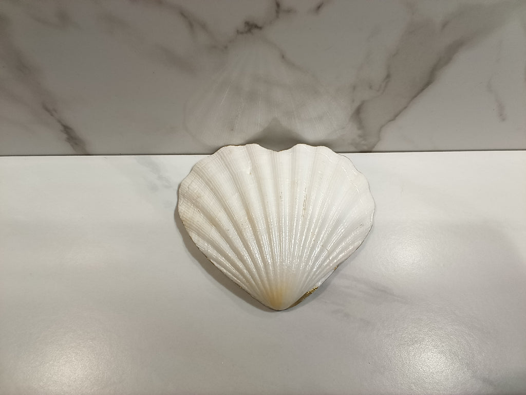 Hummingbird Floral Heart Shell Art Dish