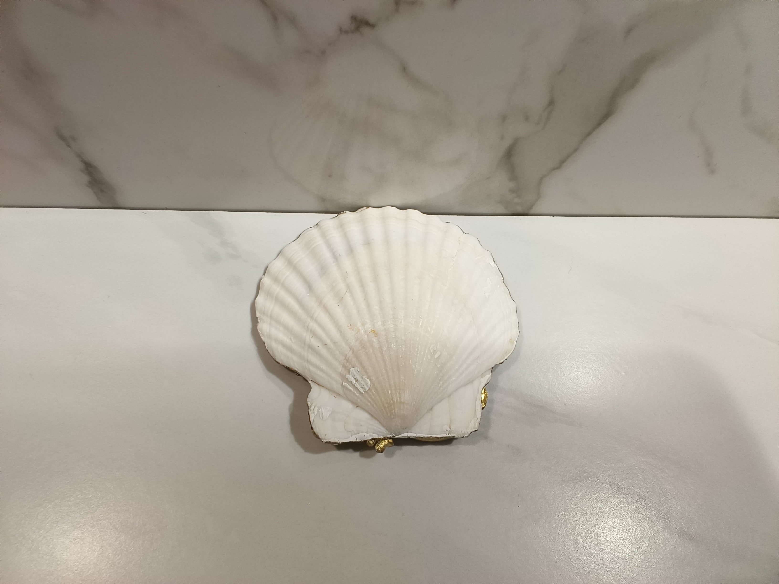Hummingbird Iridescent Scallop Shell Art Dish with Stand
