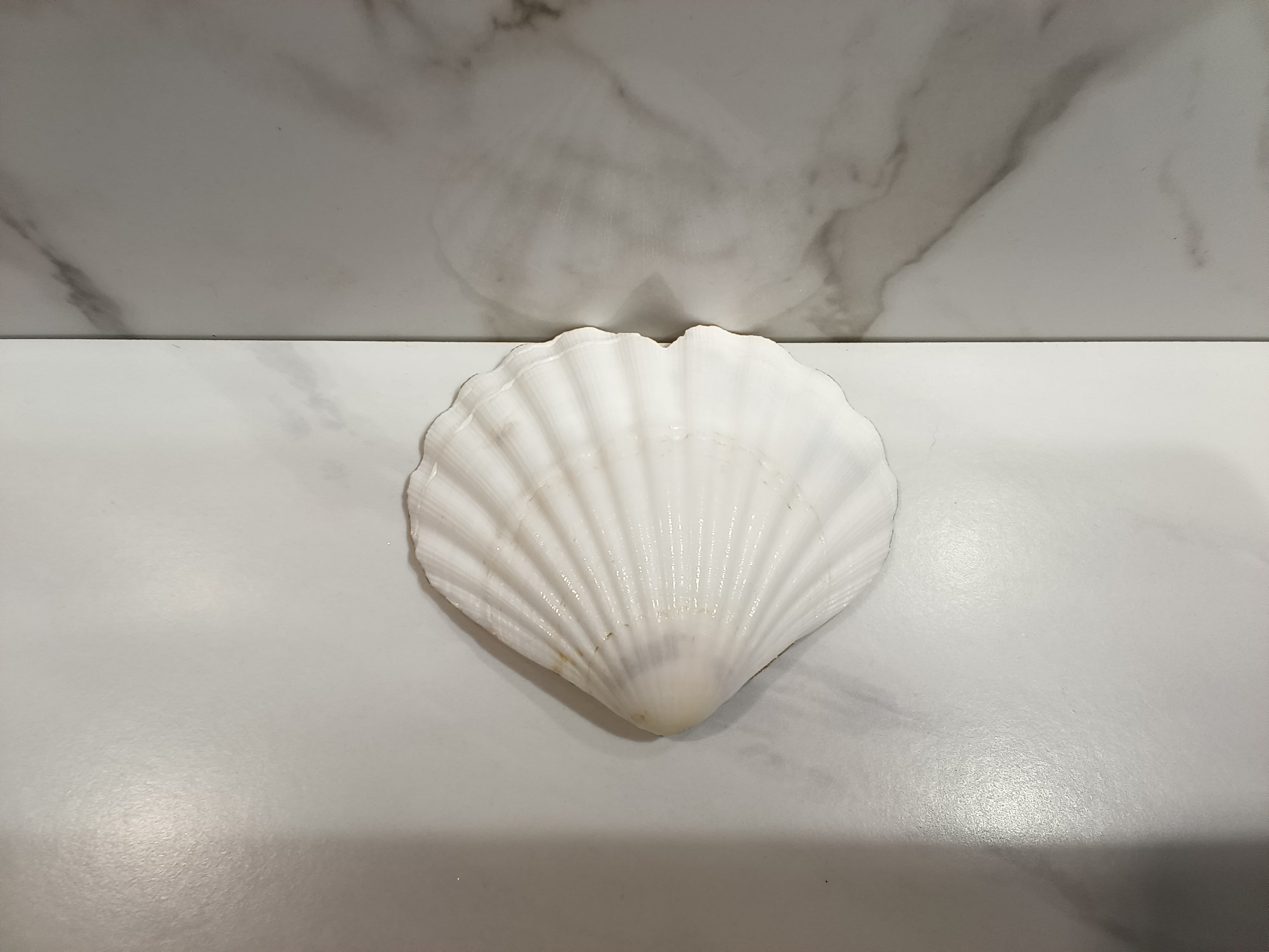 Heart Balloons & Butterflies Shell Art Dish