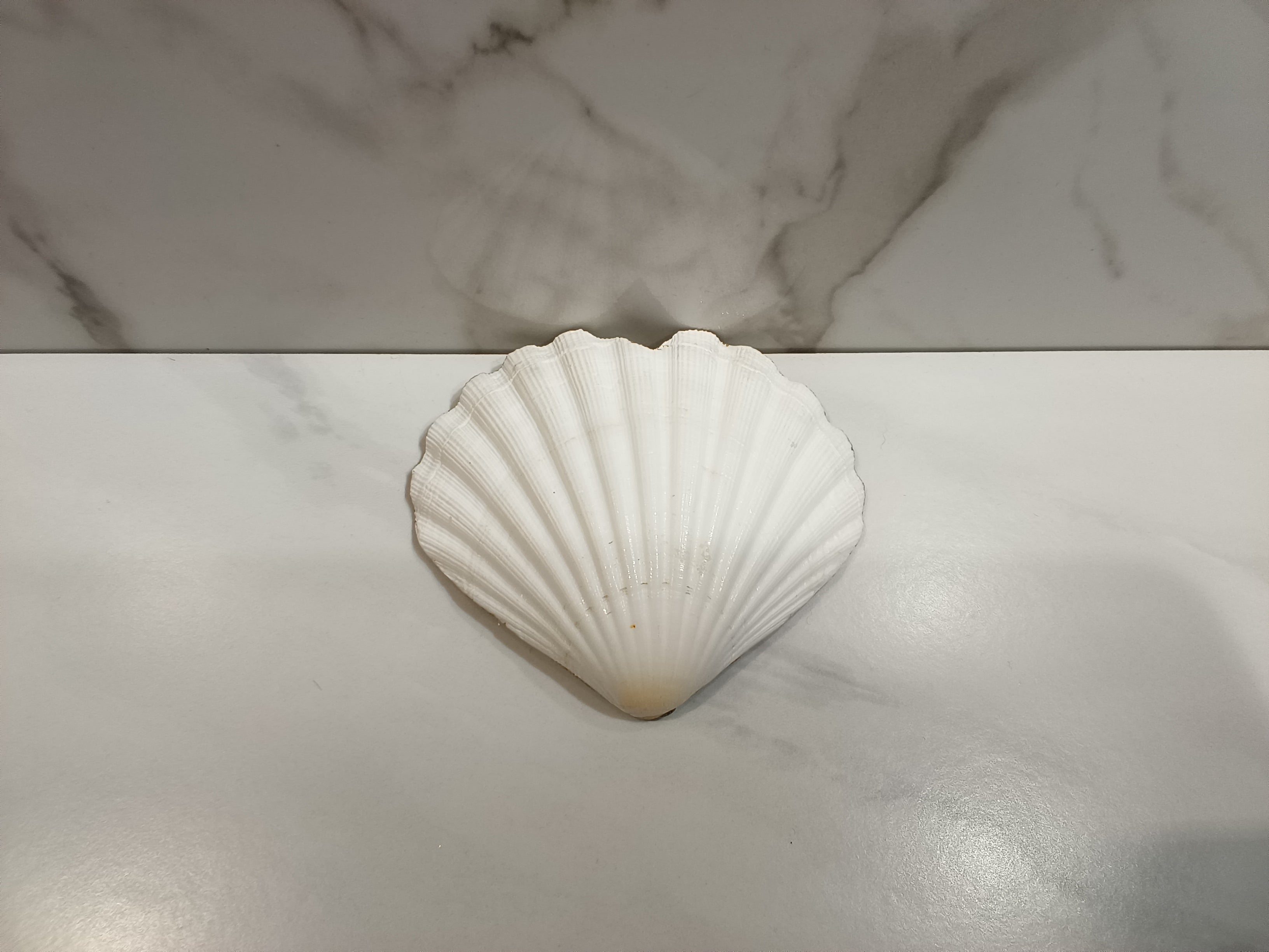 Jesus Kneeling in Prayer Heart Shell Art Dish
