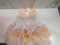 Butterfly Fairy Tutu Dog Dress